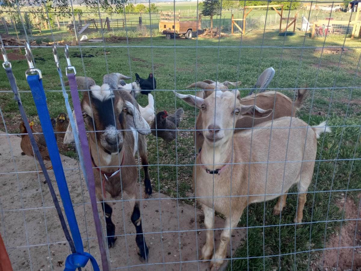 Red Creek Inn And Farm Parowan ภายนอก รูปภาพ